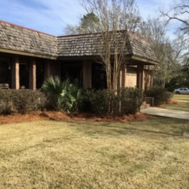 Exterior of Sebastopol Public Library, a brick building with a shingled roof, surrounded by shrubs and trees, with a concrete walkway leading to the entrance.
