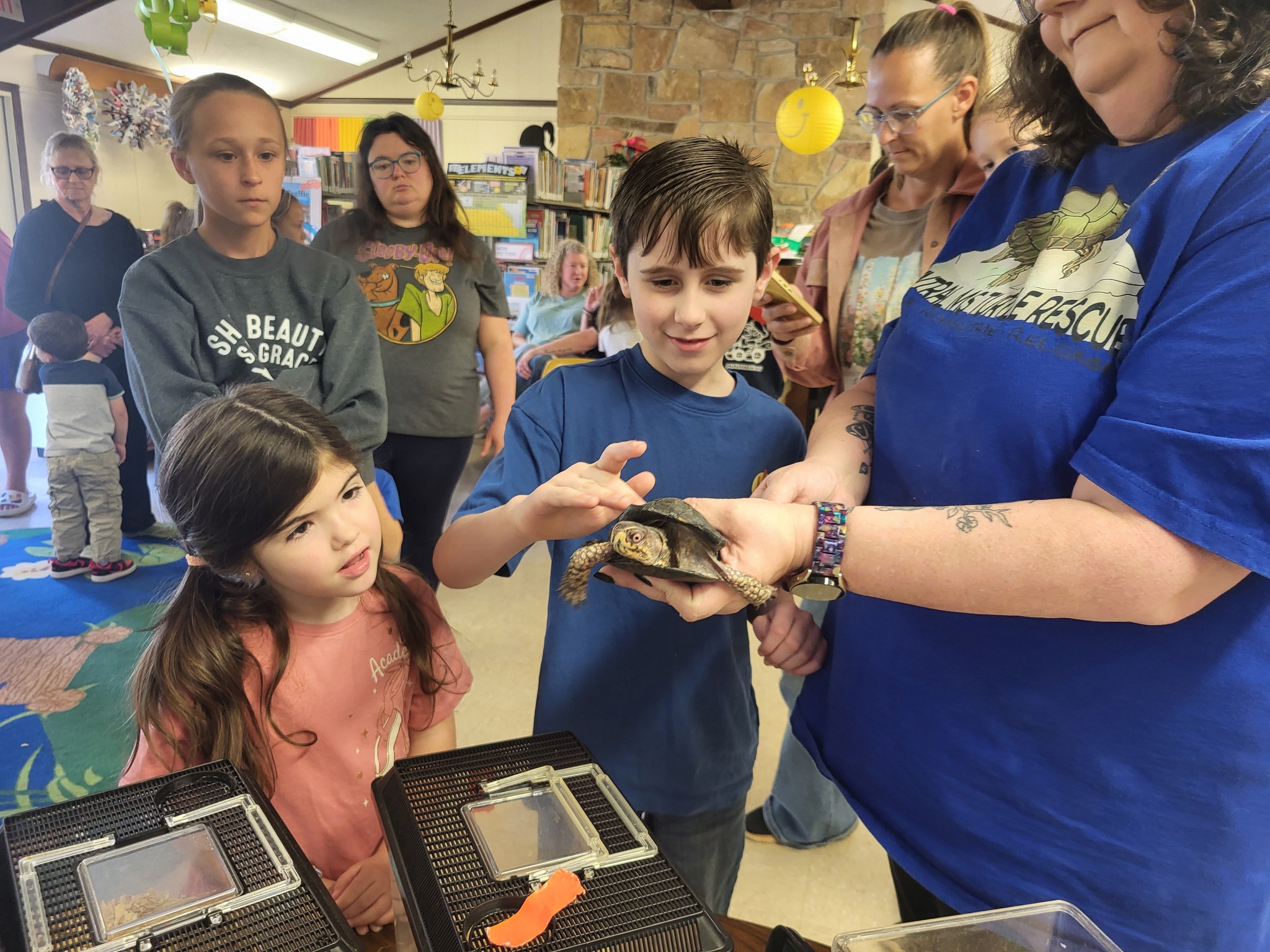 People looking at a turtle.